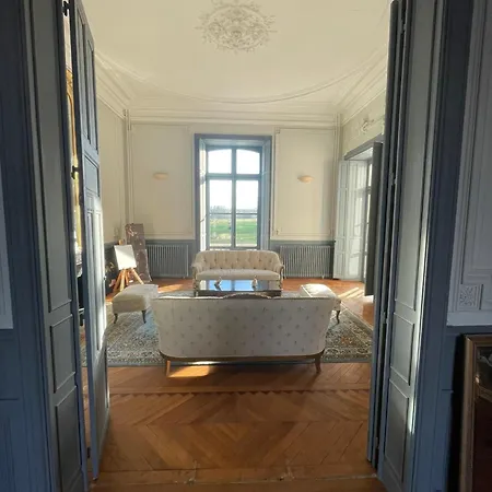 לינה וארוחת בוקר Chateau De Savonnieres