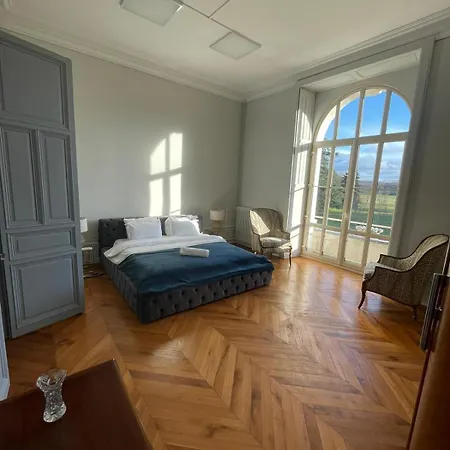 Chateau De Savonnieres