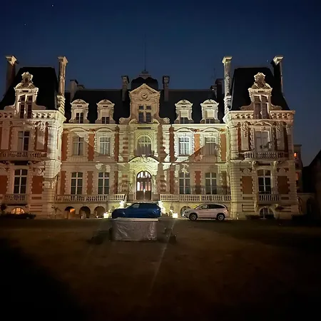 Chateau De Savonnieres לינה וארוחת בוקר La Bruere-sur-Loir