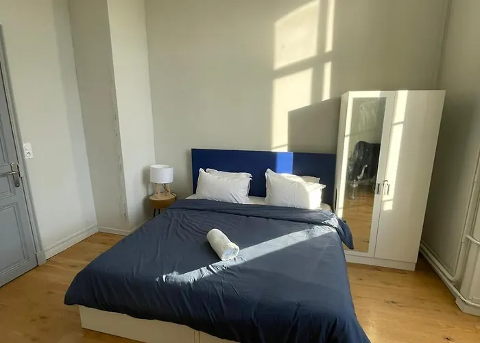 住宿加早餐酒店 Chateau De Savonnieres