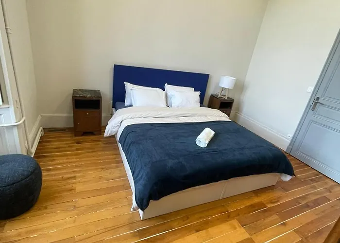 Chateau De Savonnieres 住宿加早餐酒店